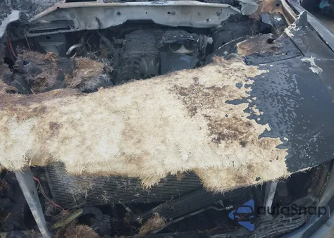 2011 Ford F150 Svt Raptor from USA, damaged, VIN 1FTFW1R69BFB81587